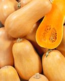 la-courge-butternut-bio