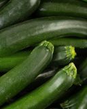 la-courgette-verte-bio