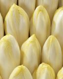 les-endives-en-sachet-1