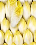 l-endive