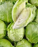 le-chou-vert-1
