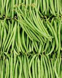 le-haricot-vert