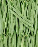 le-haricot-coco-plat