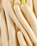 le-navet-long-1