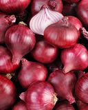 l-oignon-rouge-1
