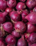 l-oignon-rouge-en-filet