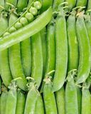 le-petit-pois