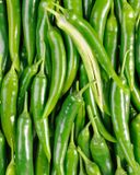 le-piment-vert