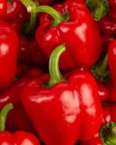 le-poivron-rouge-jaune-ou-vert