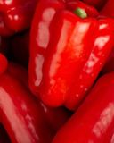 poivron-rouge-bio-vrac-pce