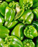 le-poivron-vert