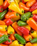 le-melange-de-mini-poivron-vert-jaune-orange-ou-rouge