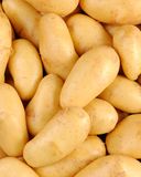 la-pomme-de-terre-a-chair-ferme-amandine
