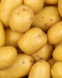 la-pomme-de-terre-de-consommation-lavee