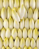les-jeunes-pousses-d-endives