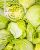 la-salade-iceberg-1