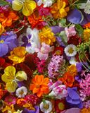 les-fleurs-comestibles