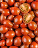 la-tomate-cerise-noire-allongee