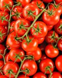la-tomate-grappe-selection-hve