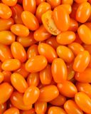 la-tomate-cerise-allongee-orange-hve