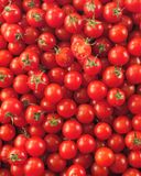 la-tomate-cerise-rouge-hve