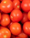 la-tomate-rouge-ronde