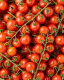 la-tomate-cerise-grappe