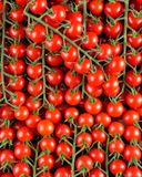 la-tomate-cerise-rouge-grappe-hve-du-jardin-de-rabelais