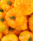 la-tomate-ananas-margold-selection-variete-ancienne