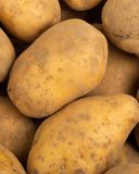 la-pomme-de-terre-spunta-bio