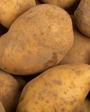 la-pomme-de-terre-non-lavee-1