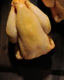 le-poulet-fermier-jaune-des-landes-label-rouge-et-igp