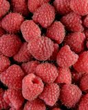 la-framboise-tulameen-4x100g