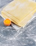 les-feuilles-de-lasagnes