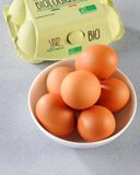 les-6-oeufs-bio-4