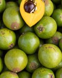 le-lucuma