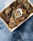 les-24-huitres-fines-de-claire-n-3-label-rouge-igp-marennes-oleron