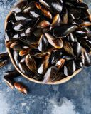 les-moules-de-cordes-d-ecosse