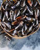 les-moules-de-hollande-1