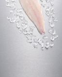 le-filet-de-bar-elevage