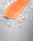 le-filet-de-truite-elevee-en-france-5