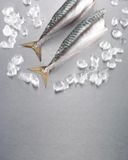 le-maquereau-pret-a-cuisiner