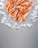 les-langoustines-entieres-cuites-20-40
