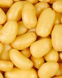 la-pomme-de-terre-nouvelle-delicatesse-500g