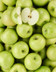 10055 POMME GRANNY.jpg