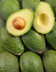 5070 L avocat.jpg