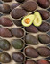 5256_ 1 Avocat_selection_2_fruits_murs.jpg