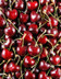 5502 CERISE SELECTION HVE .jpg