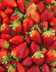 5610 FRAISE 500G-min.jpg