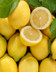 5701CITRON FEUILLES NON TRAITES.jpg